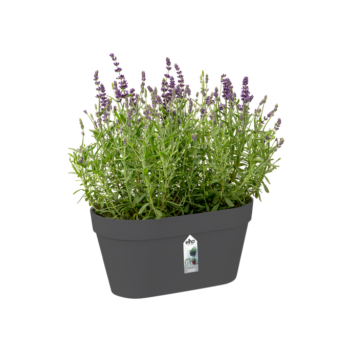 loft urban green wall duo 28cm anthracite